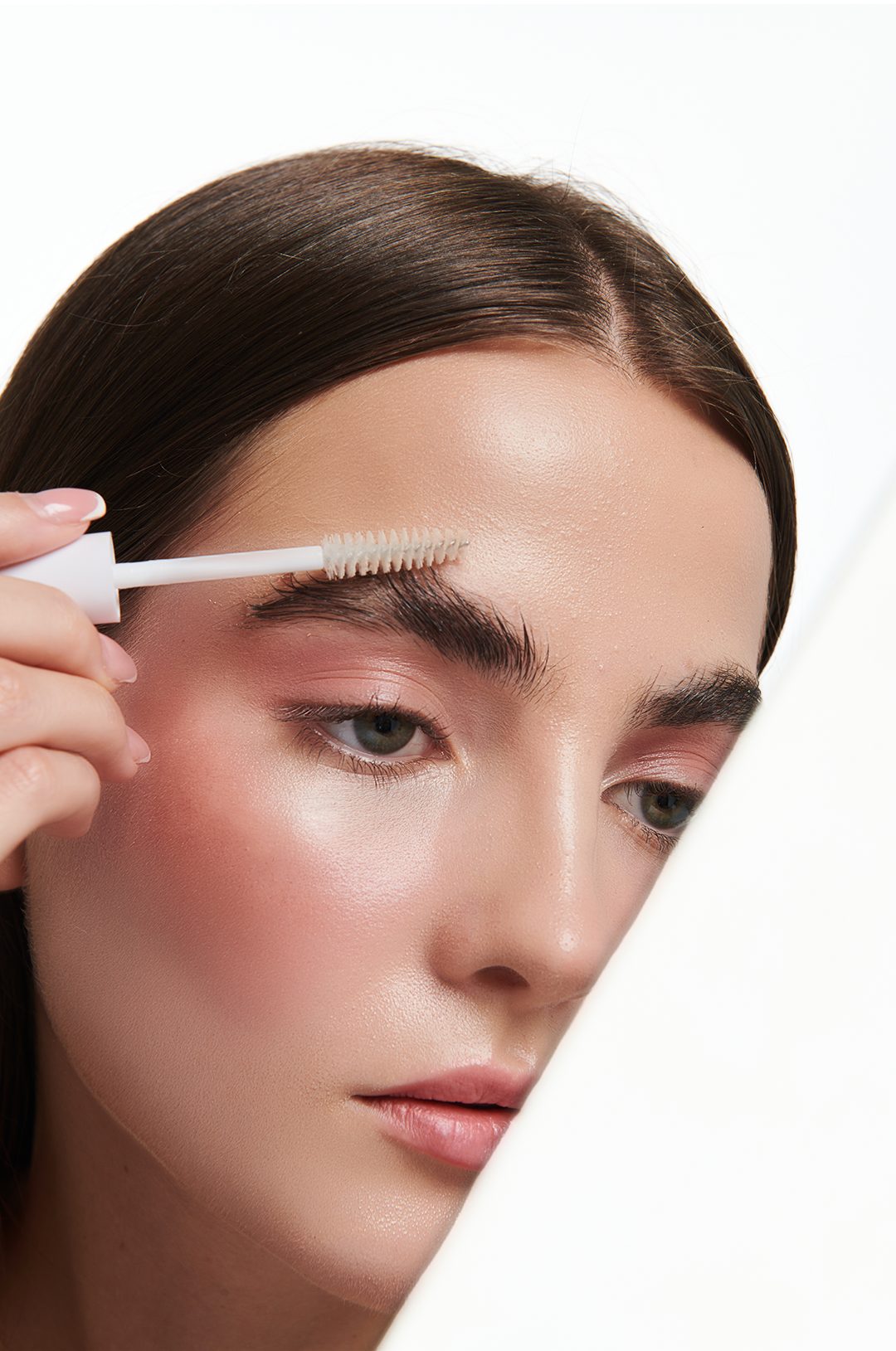 THE BROW SCULPT.